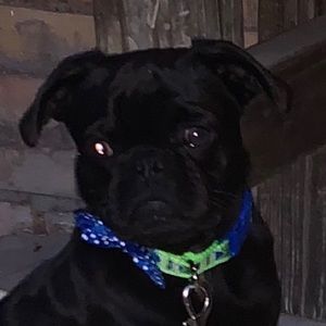 Meet your Posher, Erica